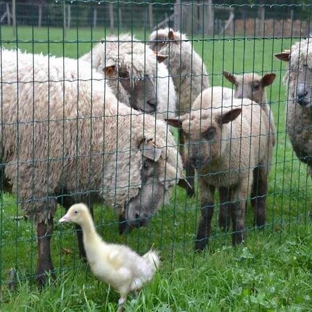 With Bubble Bath Modave