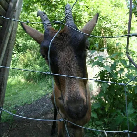With Bubble Bath Modave