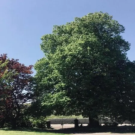 With Bubble Bath Casa de Férias Modave