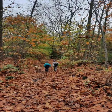 With Bubble Bath Casa de Férias