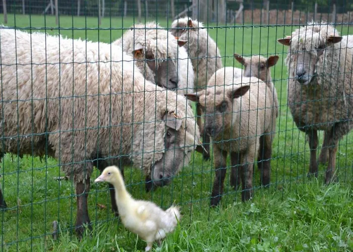 With Bubble Bath Modave