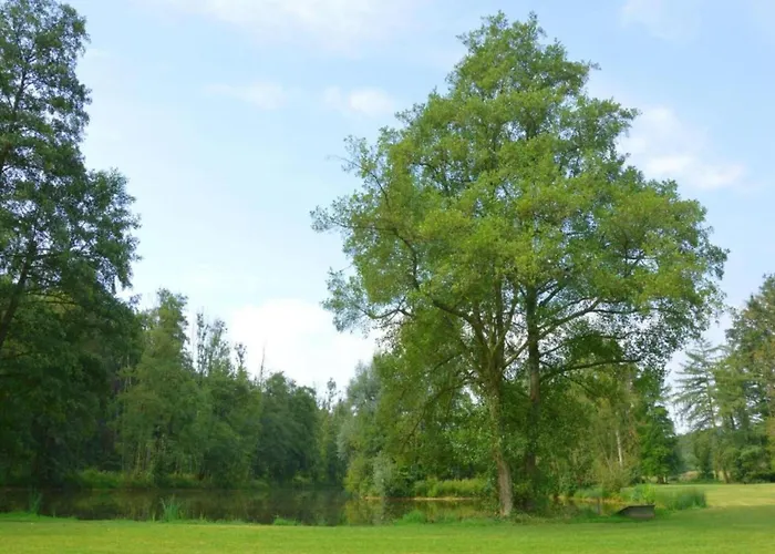 With Bubble Bath בית נופש