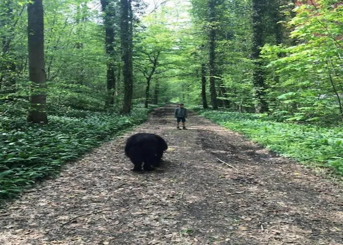 בית נופש With Bubble Bath Modave