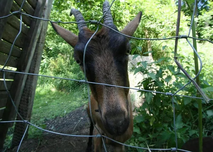 With Bubble Bath Modave