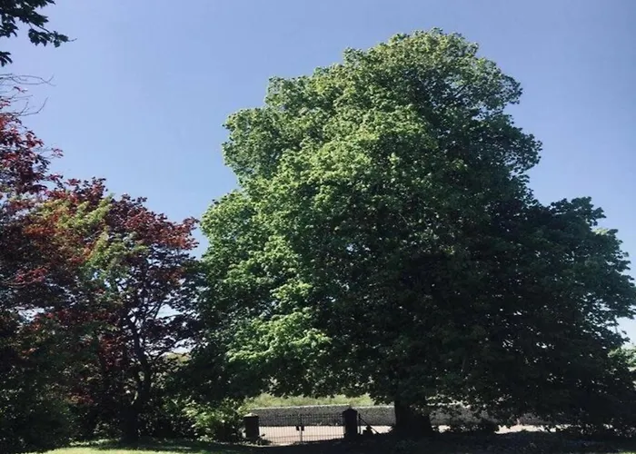 With Bubble Bath Tatil Evi Modave