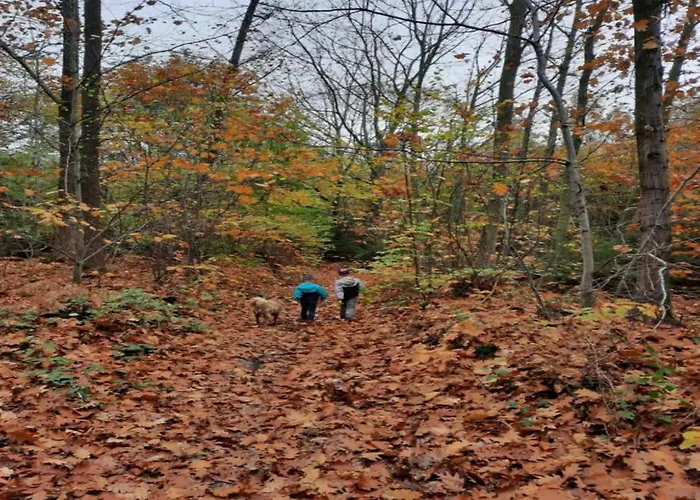 With Bubble Bath בית נופש
